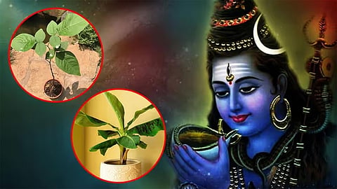 features and science of shiva worship wednesday is maha shivaratri