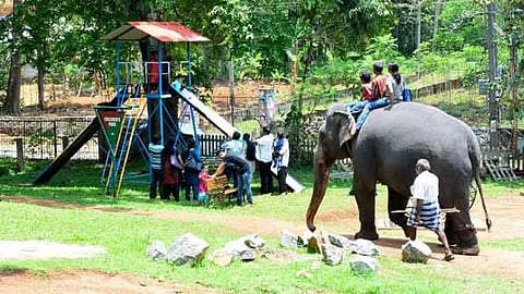 Kerala forest staff protest | Safety compromised in eco tourism