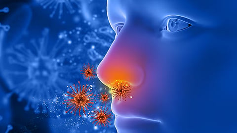 amoebic encephalitis one more death