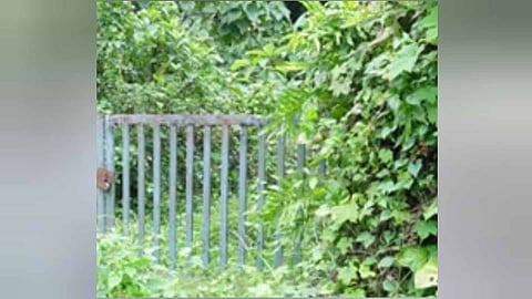 government land of the industries department in bhoothathankettu is being destroyed by forest encroachment