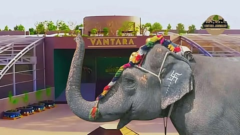 mahadevi elephant legal battle