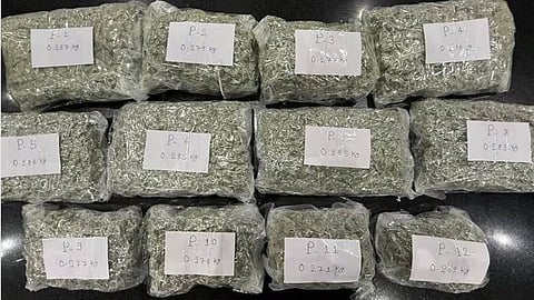 Coimbatore airport 7 crores worth hydro cannabis