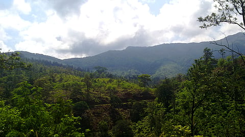 ബോണക്കാട് വനത്തിൽ കാണാതായ ഫോറസ്റ്റ് ഉദ്യോഗസ്ഥരെ കണ്ടെത്തി