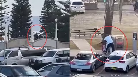 australia sydni mass shooting, 10 killed