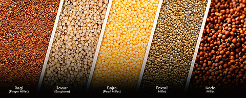 Integrated nutrient management for a greener future
