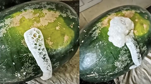 watermelon foaming without cutting youtuber video