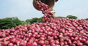 Onion farmers block Mumbai-Agra National Highway