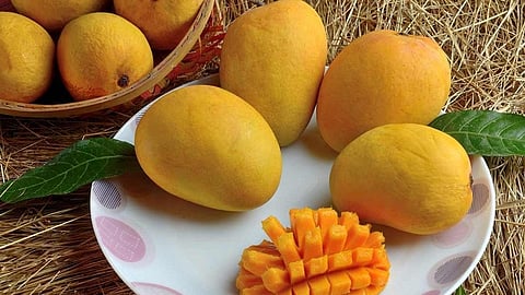 Japan bans mangoes from India