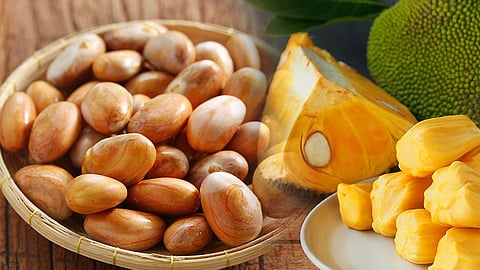 Jackfruit Seeds benefit