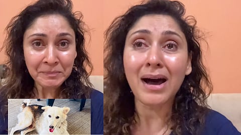 They beat Mikey to death while he was sleeping"; Actress breaks down in tears for stray dog