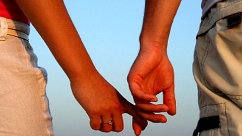 punjab and haryana hc dismissed a protection plea from a live in couple