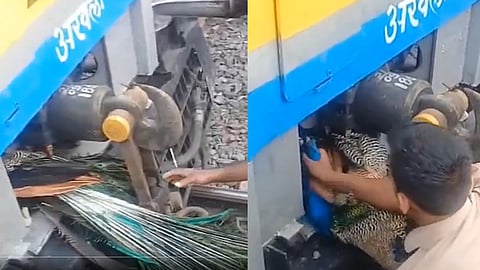 Peacock trapped in moving train engine, rescued by staff