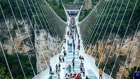 Glass bridge smashed with an umbrella; staff evacuated visitor