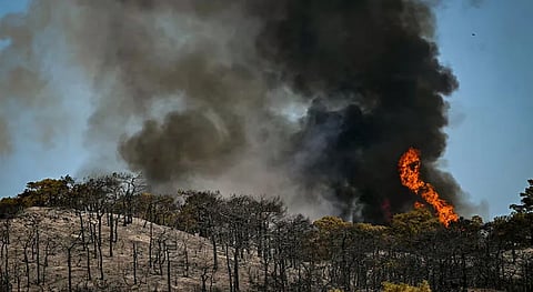 Wildfires rage in France