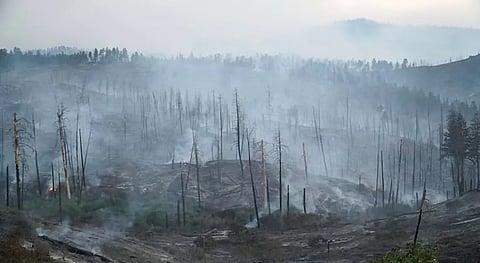 Spokane County ravaged by wildfires