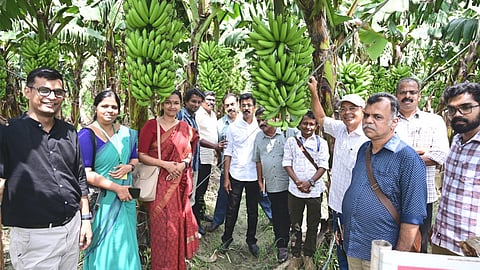 Cultivating multiple crops reduces market risks: Ram Saran Verma