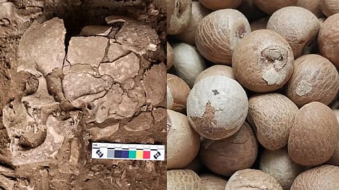 Humans were getting high 25,000 years ago