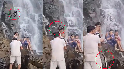snake falls from waterfall video