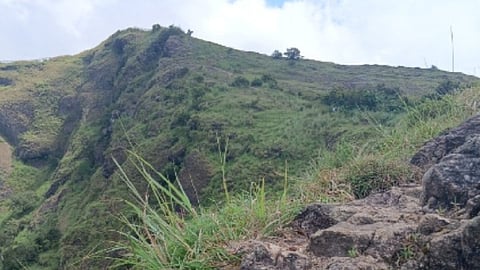 The place where the girl attempted suicide.