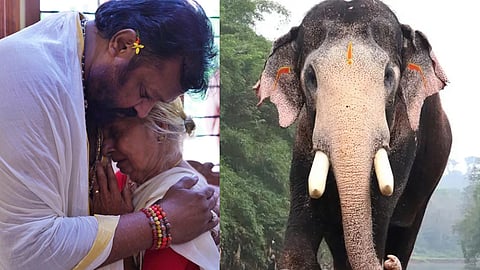 suresh gopi on pallattu brahmadathan's death