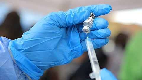 shamonda virus confirmed in France; explainer