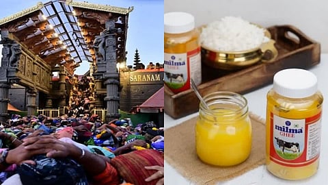 Ghee scam: All the fraudsters should be caught