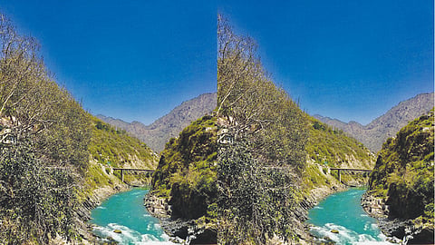 NGT forms panel for factual report
on river Alaknanda pollution