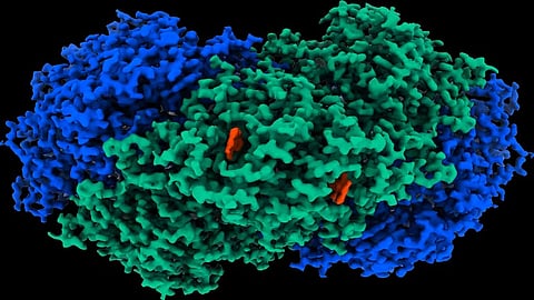 Electricity from thin air: an enzyme from bacteria can extract energy from hydrogen in the atmosphere