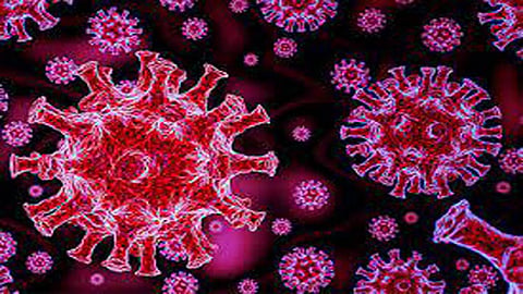 Covid virus