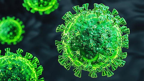 Covid Virus