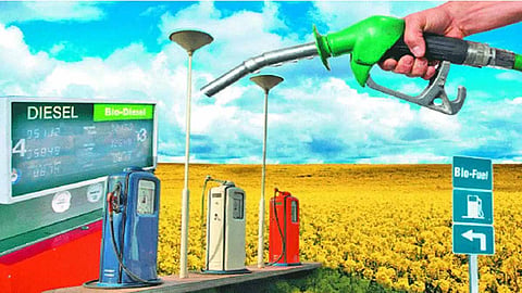 Petrol, diesel sales rise as agri season picks up