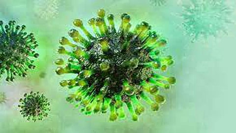 Active Covid cases in country decrease to 7,623