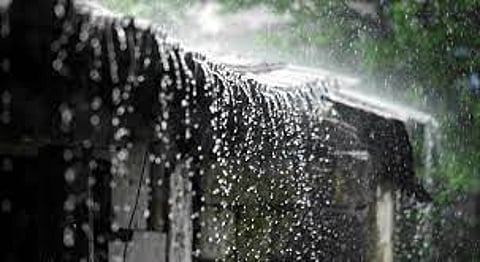 Above-normal monsoon rainfall predicted in south Asia