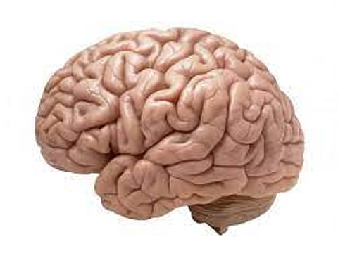Parkinson disease