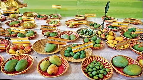 32nd Annual Mango Festival kicked-off in Delhi Haat