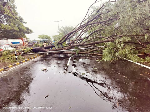 Incessant heavy rains continue in Kerala; normal life affected