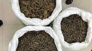 165 kilograms of cannabis