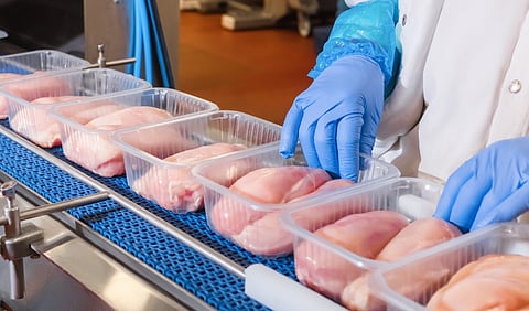 Israeli startup’s lab-grown chicken gets certified by largest US kosher agency