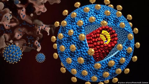Transplanted blood stem and progenitor cells into mice