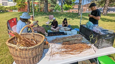 Nature based activities
