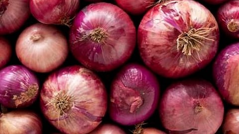 Govt sets minimum export price of USD 800 per metric tonne on onions till Dec 31