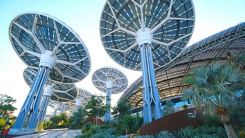 COP28 UAE