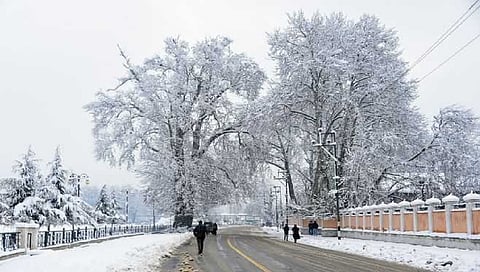 Cold conditions intensify in Kashmir valley after brief respite