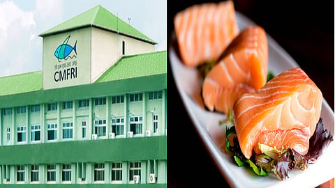 Central Marine Fisheries Research Institute aims to develop lab grown fish and meat