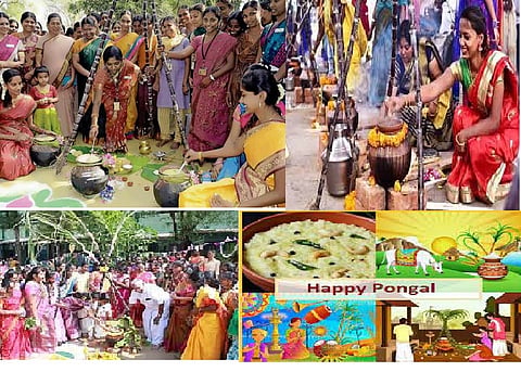 Pongal Celebrated in Tamil Nadu with Grand Festivities, Udhayanidhi Extends Tamil New Year Greetings