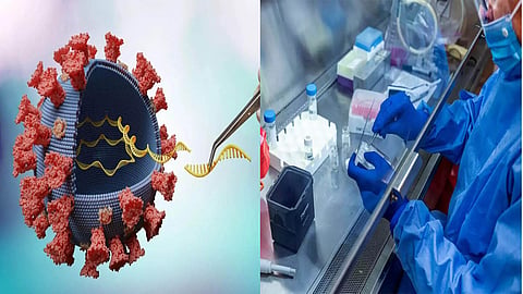 Genomic based disease test