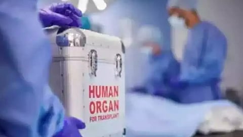 80% of organ transplants between 1995 and 2021 were on men: Govt data