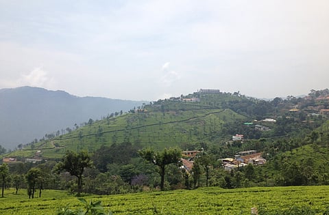 HC directs issuance of e-pass to vehicles entering Nilgiris and Kodaikanal