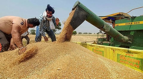 Wheat procurement