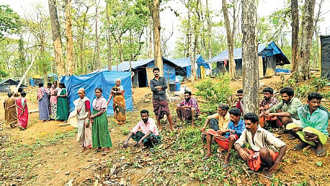 Tribal settlements in Kerala forests